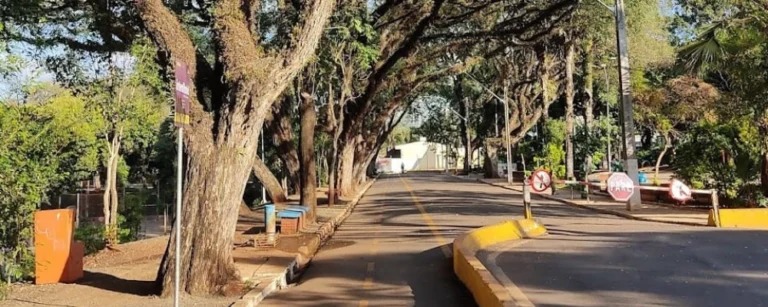 capa zerão londrina
